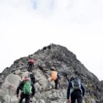 So you took our advice and you now have a solid support team in place. Here are our tips for turning your freelance team into a well-oiled machine.